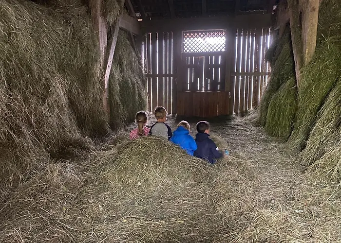 Baby- Und Kinderbauernhof Montaning