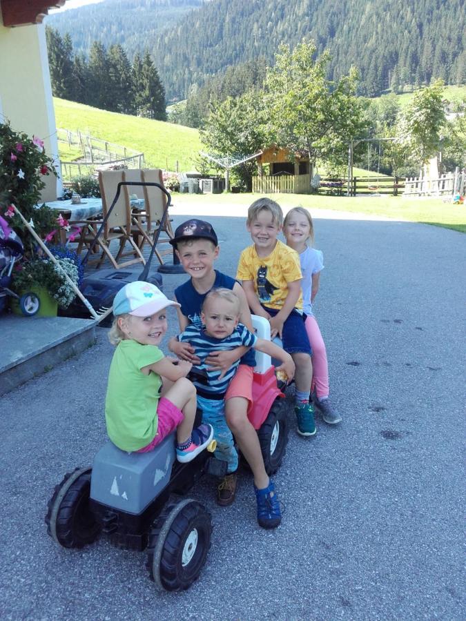 Baby- Und Kinderbauernhof Montaning Apartment Forstau (Salzburg)