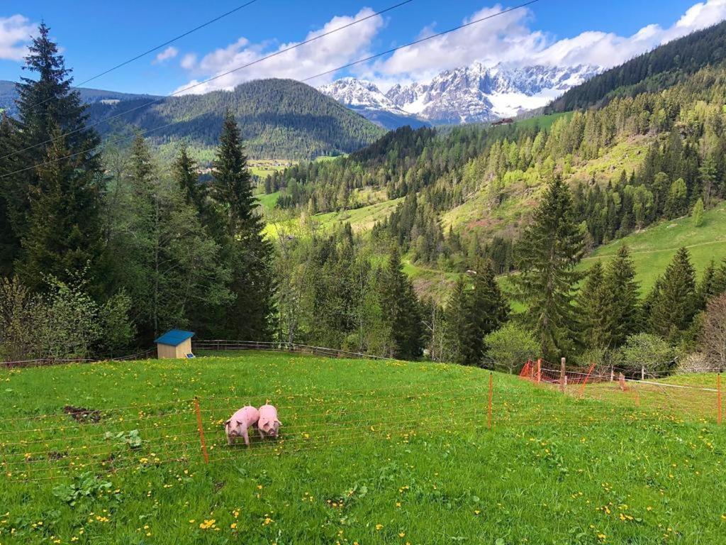 Apartment Baby- Und Kinderbauernhof Montaning