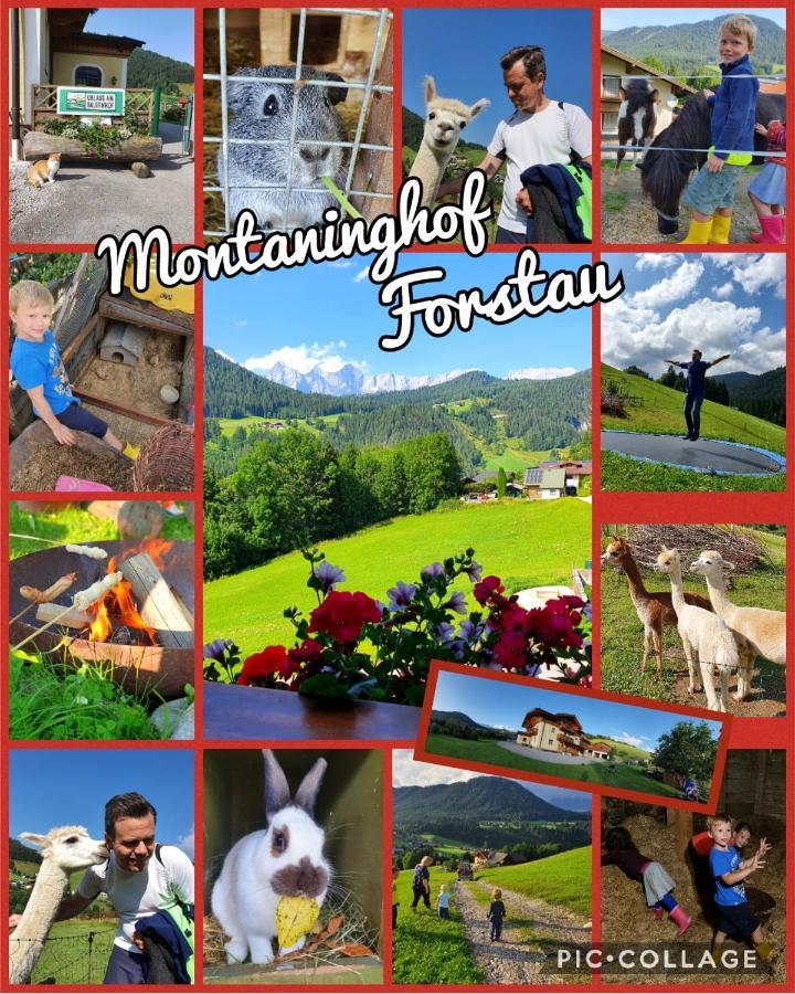 Baby- Und Kinderbauernhof Montaning