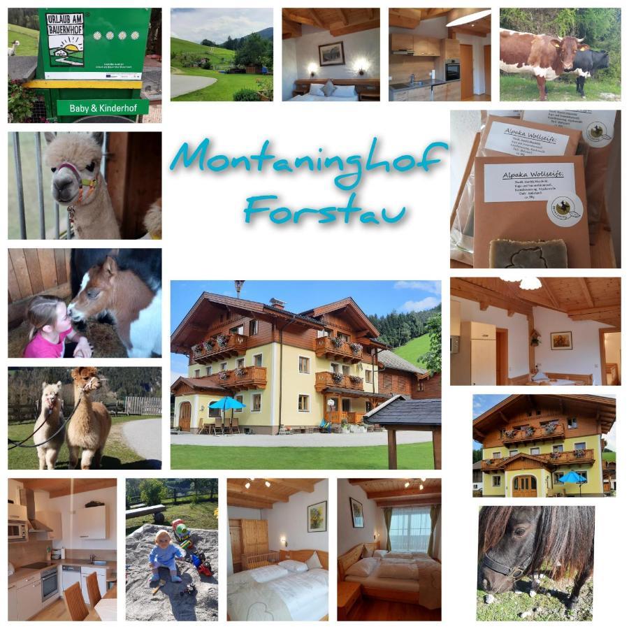 Baby- Und Kinderbauernhof Montaning Apartment