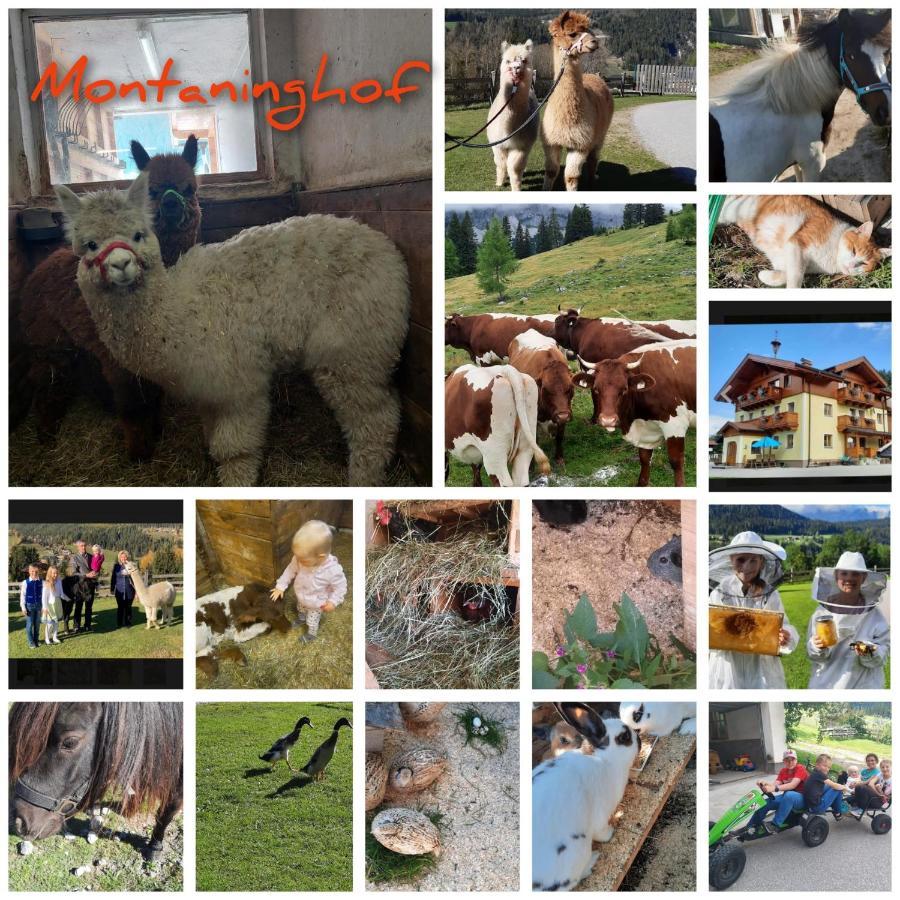 Baby- Und Kinderbauernhof Montaning