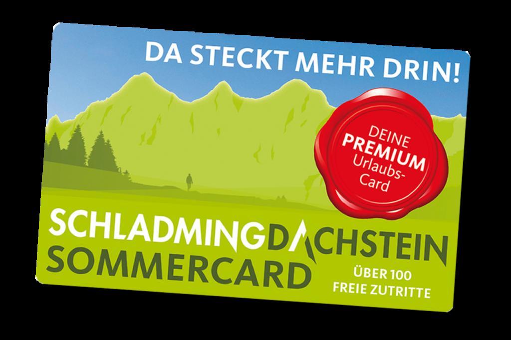 Baby- Und Kinderbauernhof Montaning Apartment Forstau (Salzburg)