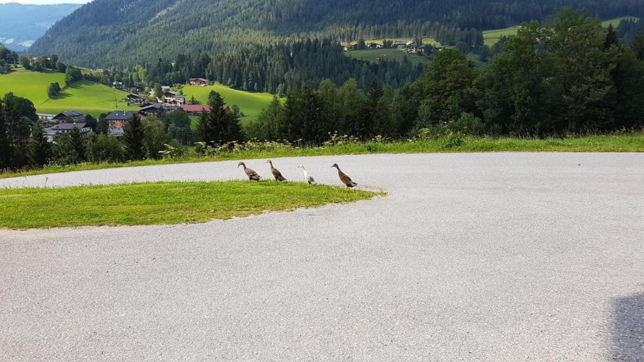 Baby- Und Kinderbauernhof Montaning Forstau (Salzburg)