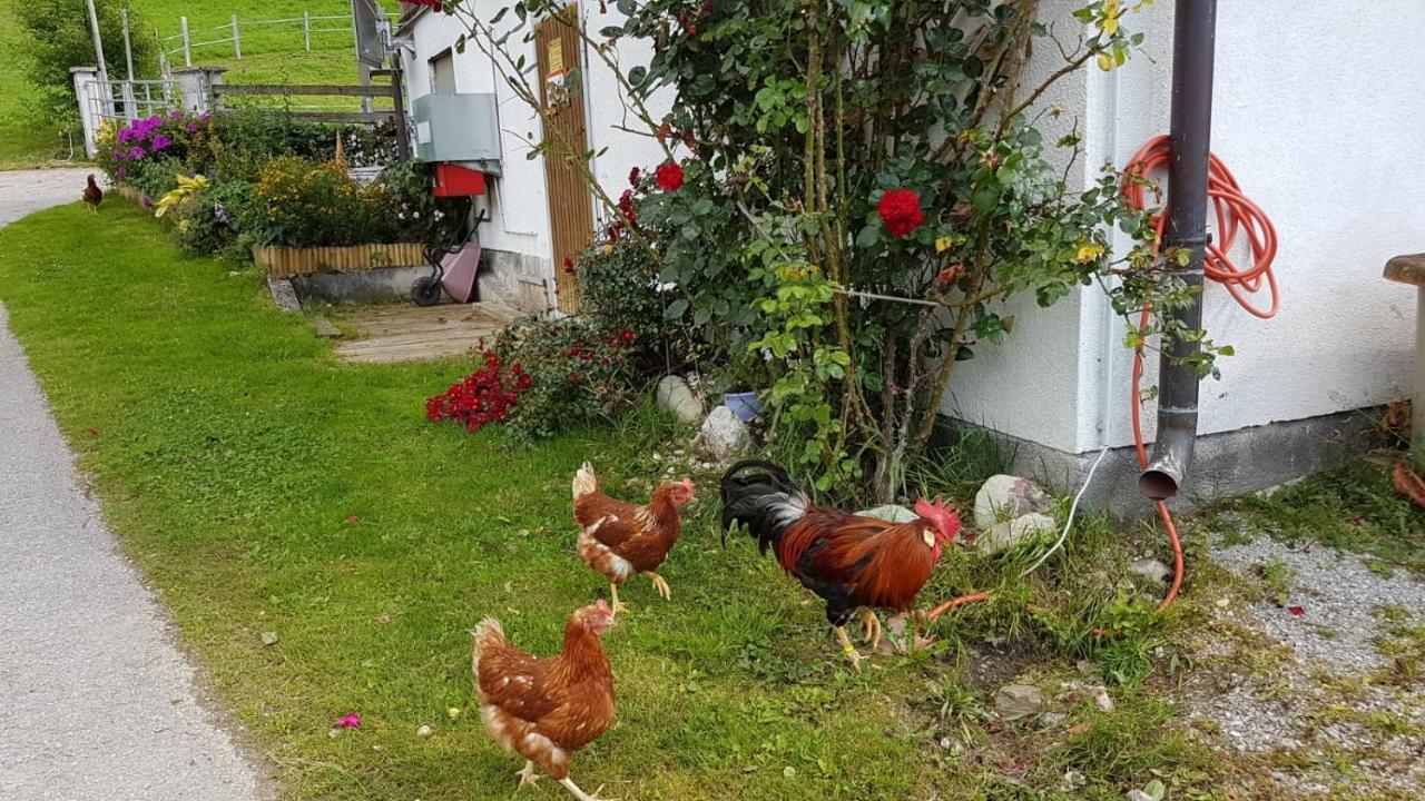 Apartment Baby- Und Kinderbauernhof Montaning